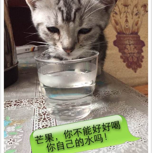 报考研究生需要学位证吗?
